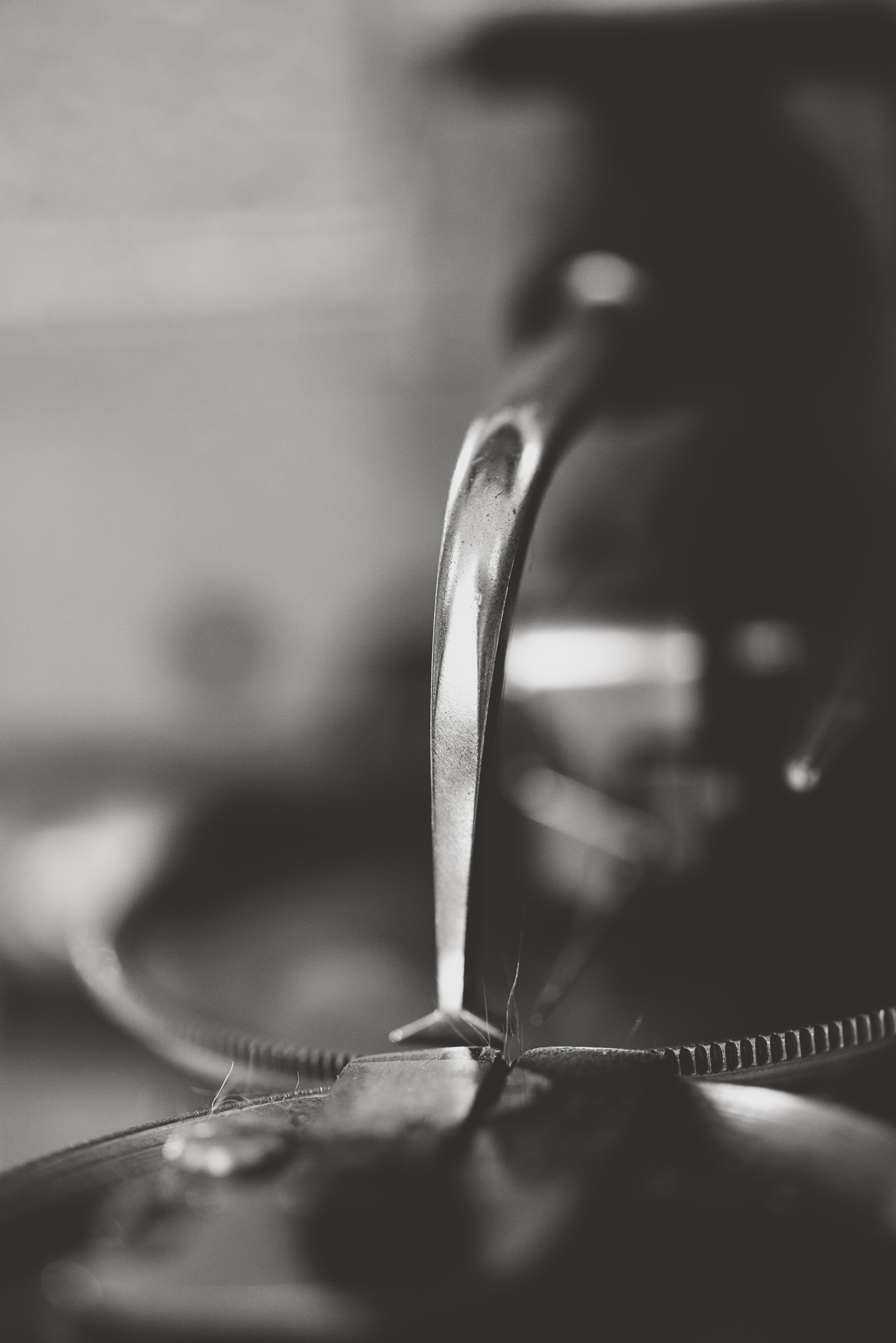 Macro detail — craftsmanship at the closest range