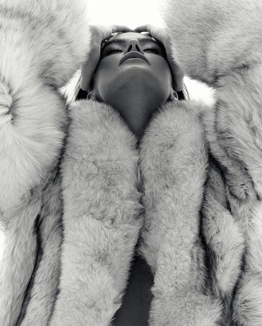 White fox — editorial