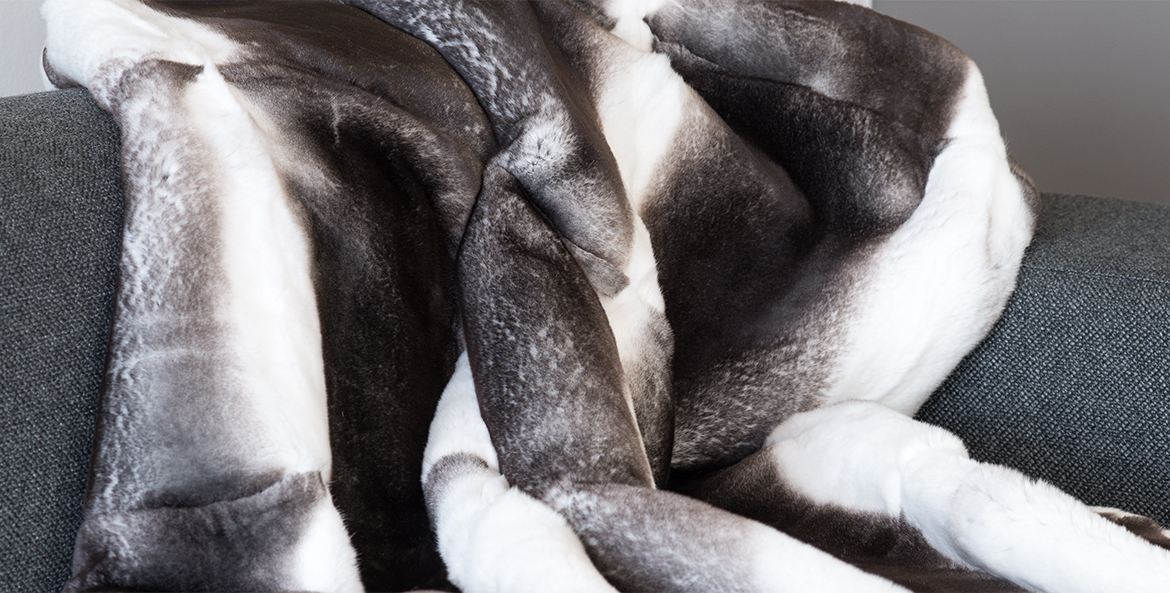 Throw in black-and-white Orylag